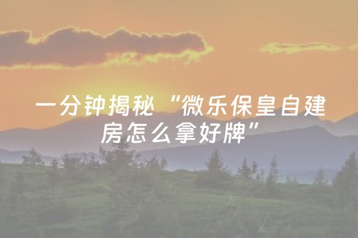 终于发现了“打麻将100%能赢的神器（专用辅牌神器免安装）
