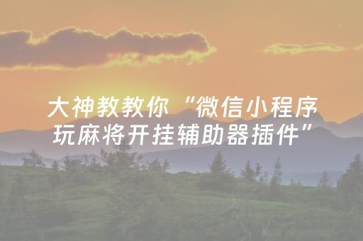 终于发现了“决胜麻将挂先试用后付款”（详细透视教程）-哔哩哔哩