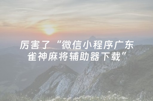 玩家实测“手机十三道有外挂吗（助赢神器通用版）