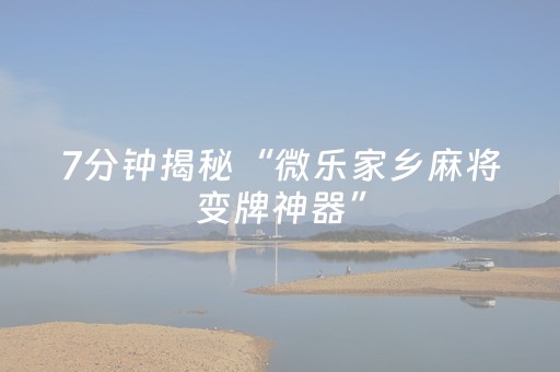 终于发现了“中至手机麻将助赢神器（专用辅牌神器免安装）