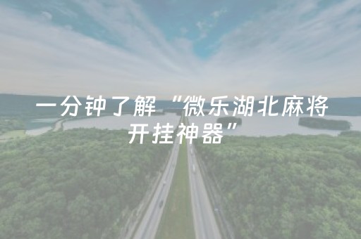 分享辅助“闲逸斗地主亲友圈有挂吗（专用辅牌神器免安装）