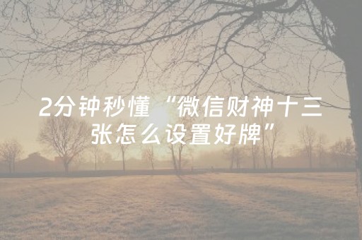 玩家必备教程“闲逸碰胡怎么拿到好牌（专用辅牌神器免安装）