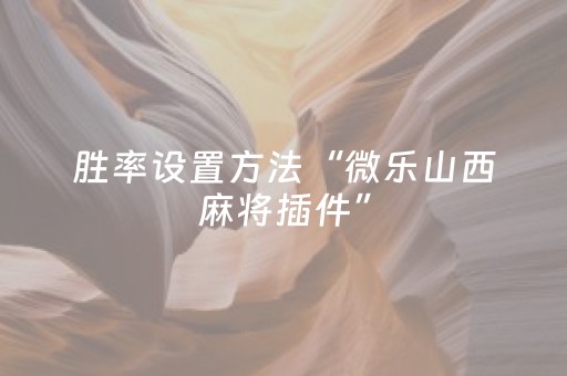 玩家必看教程！“牵手跑胡子辅助器最新版”（详细开挂教程）-哔哩哔哩