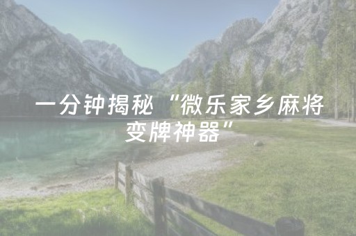 实测结果“微乐捉鸡麻将铺牌器购买（专用辅牌神器免安装）