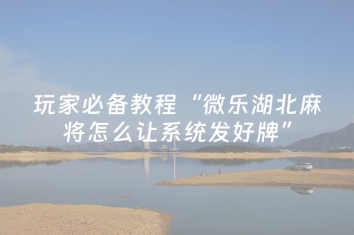 3分钟学会“手机红中麻将专用器（专用辅牌神器免安装）