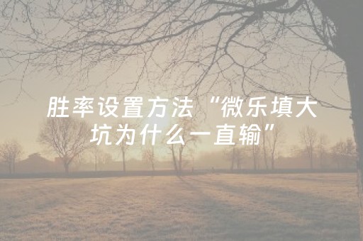 实测教程“小程序麻将有什么规律（专用辅牌神器免安装）