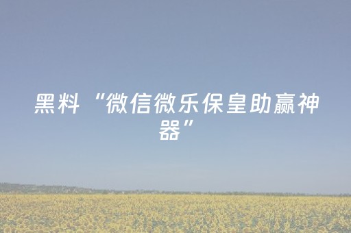 玩家实测“微乐湖南麻将挂件神器通用”（详细透视教程）-哔哩哔哩