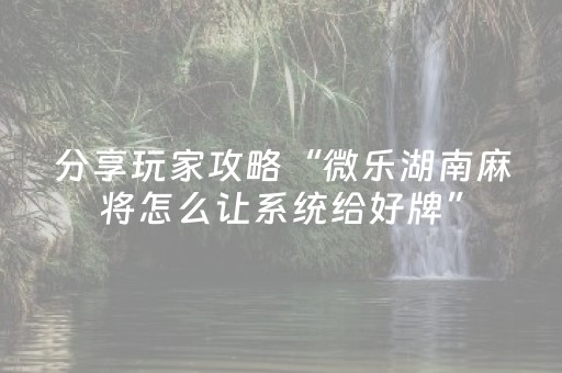 玩家必备教程“微乐海南麻将免费专用神器（专用辅牌神器免安装）