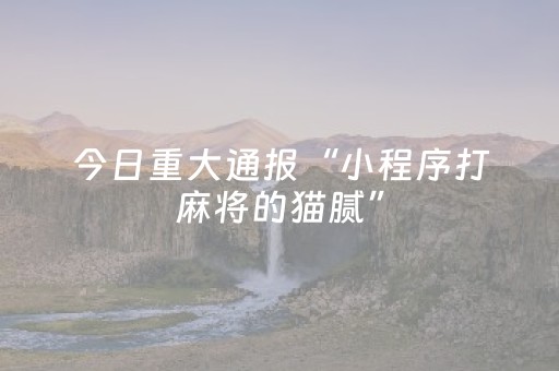 必看教程“微乐手机麻将软挂神器（专用辅牌神器免安装）