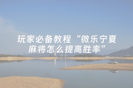 玩家必备教程“普通免安装麻将机解码器（助赢神器通用版）