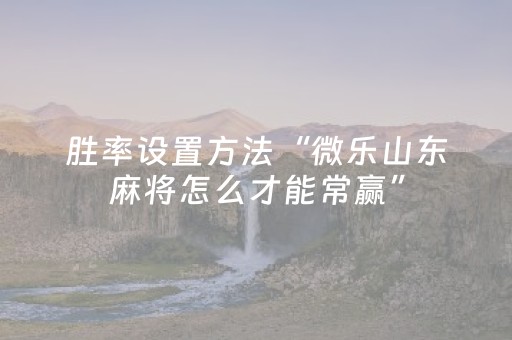 3分钟学会“麻将机程序控牌器（助赢神器通用版）