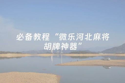 我来教大家“闲来麻将软挂神器（助赢神器通用版）