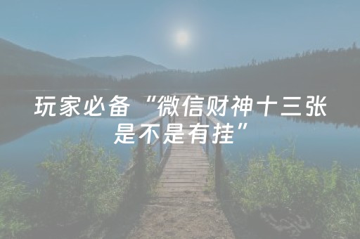 实测结果“麻将机程序控制软件（专用辅牌神器免安装）