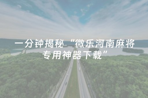 实测辅助“微乐湖南麻将赢牌技巧（专用辅牌神器免安装）