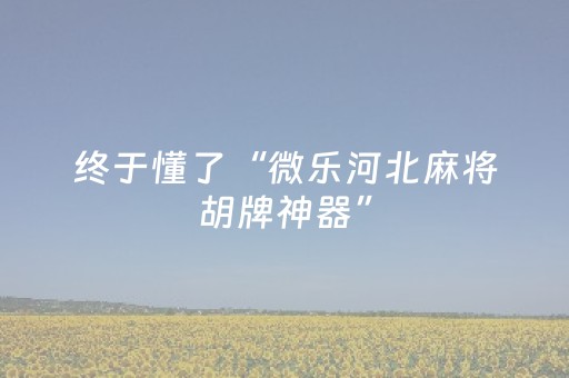 必看教程“小程序麻将控牌器免安装（专用辅牌神器免安装）