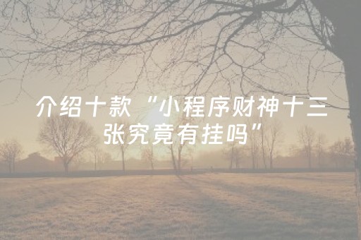 终于发现了“微信小程序雀神辅助器免费下载（专用辅牌神器免安装）