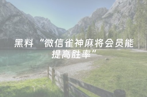 实测教程“乐乐安徽麻将软挂神器（助赢神器通用版）