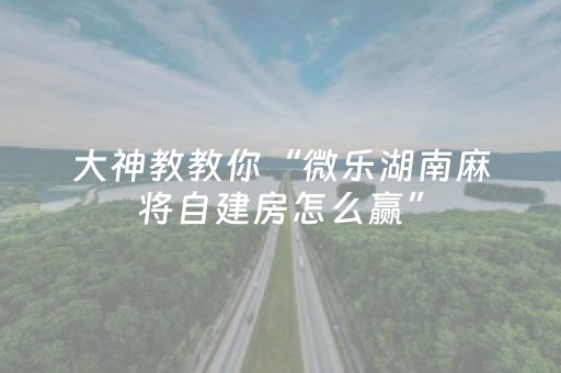实测分享“微乐湖南麻将专用神器（专用辅牌神器免安装）