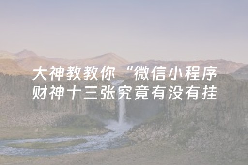 大神教教你“微信小程序财神十三张究竟有没有挂”（专用神器)
