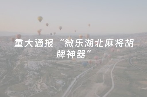 实测教程“雀神小程序专用辅助器（助赢神器通用版）