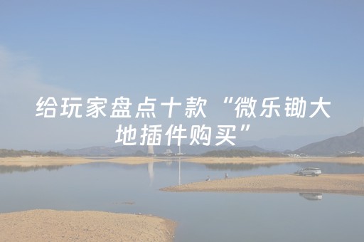 玩家实测“微乐插件下载教程（专用辅牌神器免安装）