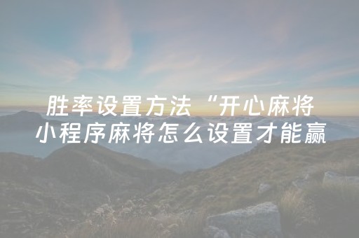 胜率设置方法“手机微乐麻将专用程序器（专用辅牌神器免安装）