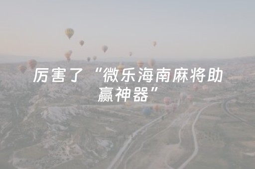 玩家实测“手机十三张辅助器（专用辅牌神器免安装）