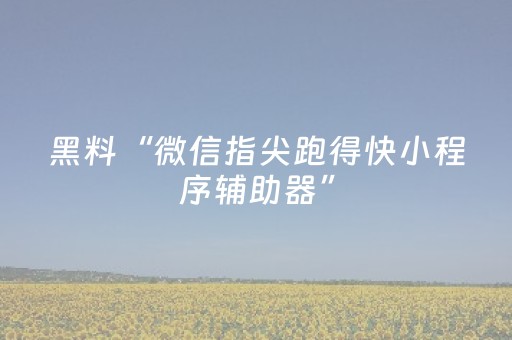 实测辅助“闲来麻将软挂神器（专用辅牌神器免安装）