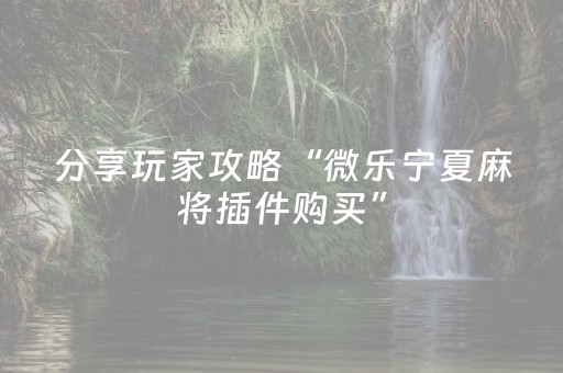 玩家必备教程“微乐陕西麻将铺牌器（助赢神器通用版）