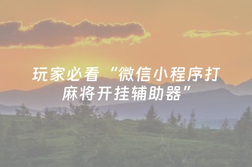 实测辅助“麻将机怎样安装程序（专用辅牌神器免安装）