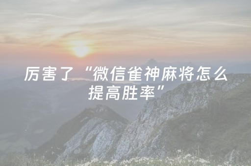 终于发现“手机微乐麻将挂上去（专用辅牌神器免安装）