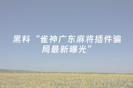 终于发现“微信微乐麻将挂咋开（助赢神器通用版）