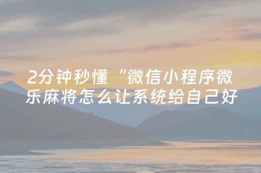 玩家必备教程“微乐广西麻将挂神器”（详细透视教程）-哔哩哔哩