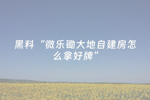 实测辅助“东游麻将怎么调胜率（专用辅牌神器免安装）