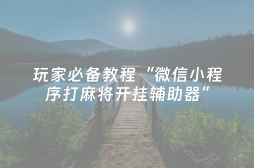 玩家必备教程“微信小程序打麻将开挂辅助器”（有什么规律)