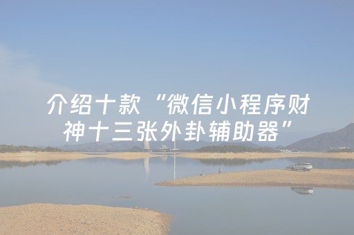 终于发现了“情怀麻将控牌器（助赢神器通用版）