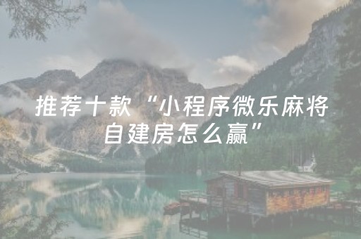 终于发现了“麻将机程序软件（助赢神器通用版）
