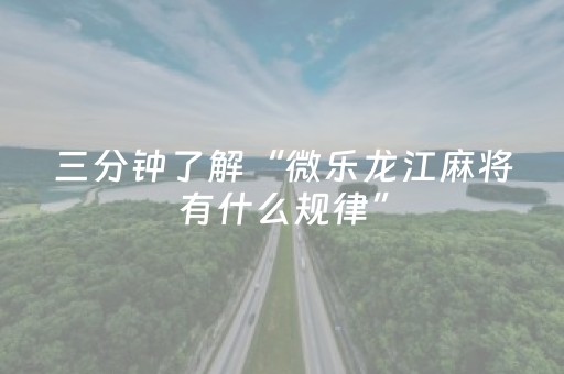 玩家必看攻略“雀神广东麻雀辅助器（助赢神器通用版）