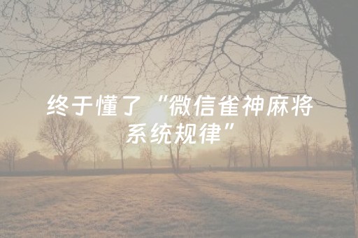 终于发现“手机打牌开挂是真的吗（专用辅牌神器免安装）