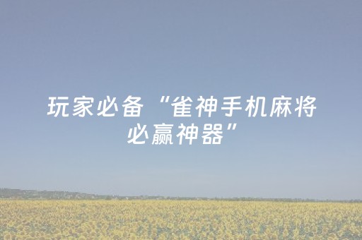教程辅助“程序麻将机检测仪（专用辅牌神器免安装）