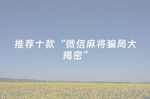 实测分享“大头十三水通用辅助器（专用辅牌神器免安装）