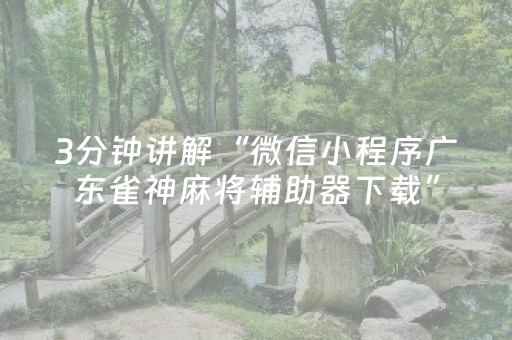 玩家实测“微乐山东麻将助攻神器（助赢神器通用版）