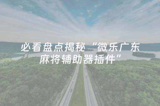 玩家实测“微乐河南麻将专用神器下载”（详细透视教程）-哔哩哔哩