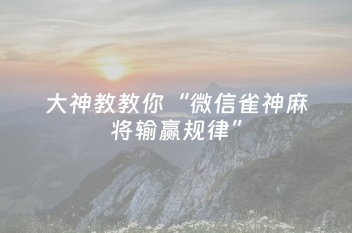 实测结果“微乐天津麻将挂件神器（专用辅牌神器免安装）