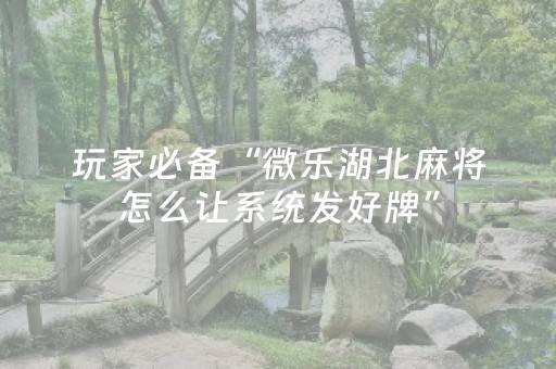 终于发现“微乐湖南麻将挂件神器通用（助赢神器通用版）