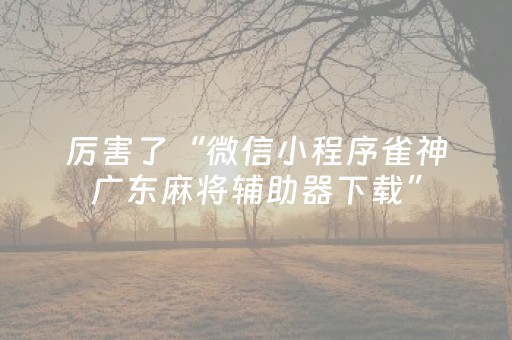 终于发现了“手机十三张外挂（助赢神器通用版）
