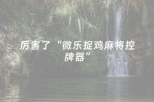 我来教大家“广东雀神辅助插件ios（专用辅牌神器免安装）