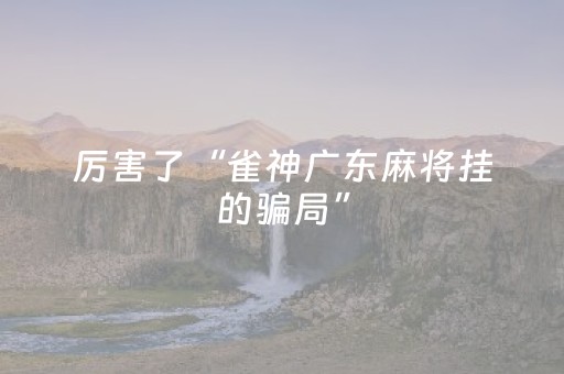 厉害了“雀神广东麻将挂的骗局”（辅助器通用版)