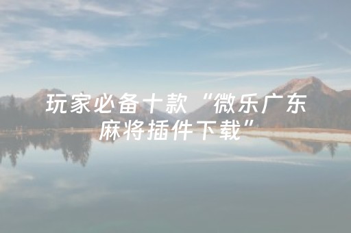 玩家必备十款“微乐广东麻将插件下载”（万能开挂器)