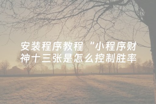 安装程序教程“小程序财神十三张是怎么控制胜率”（做弊器软件下载)
